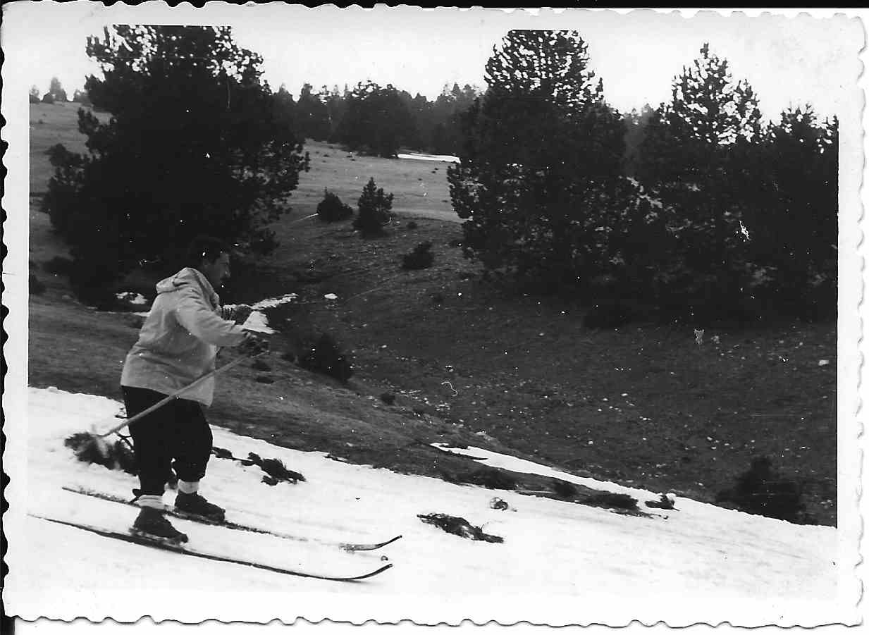 #19