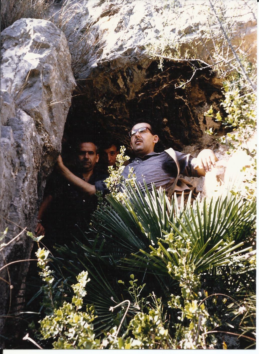 #3