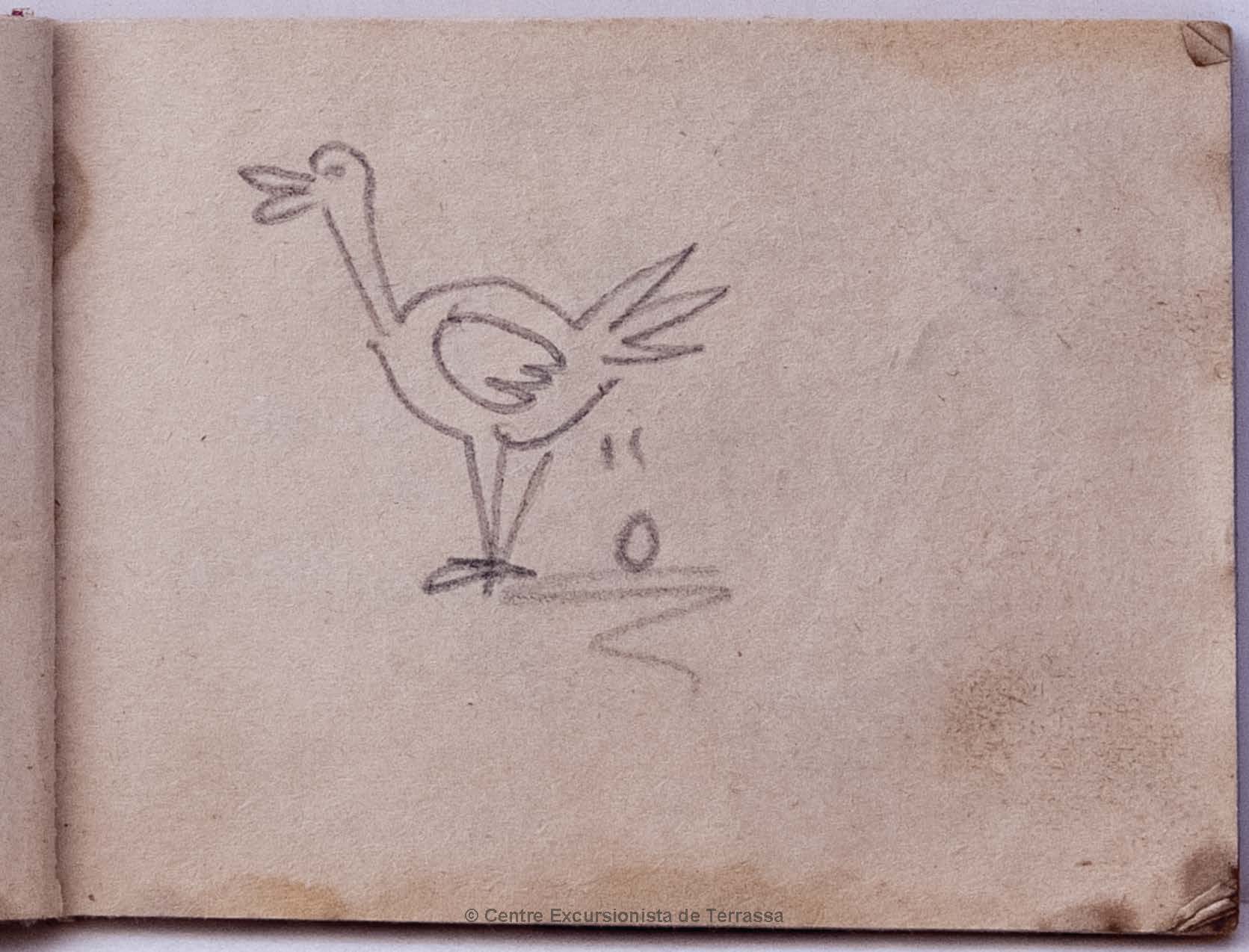 #16