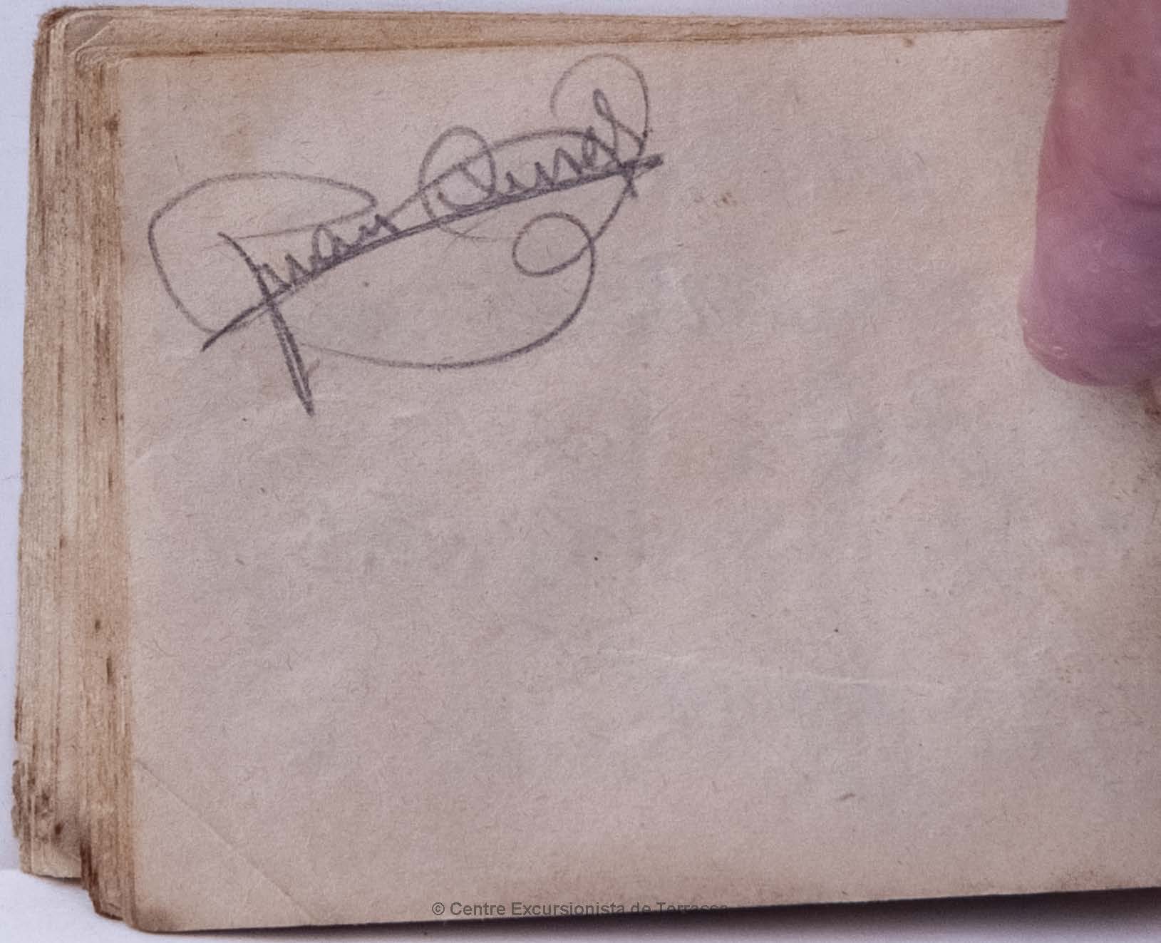#33