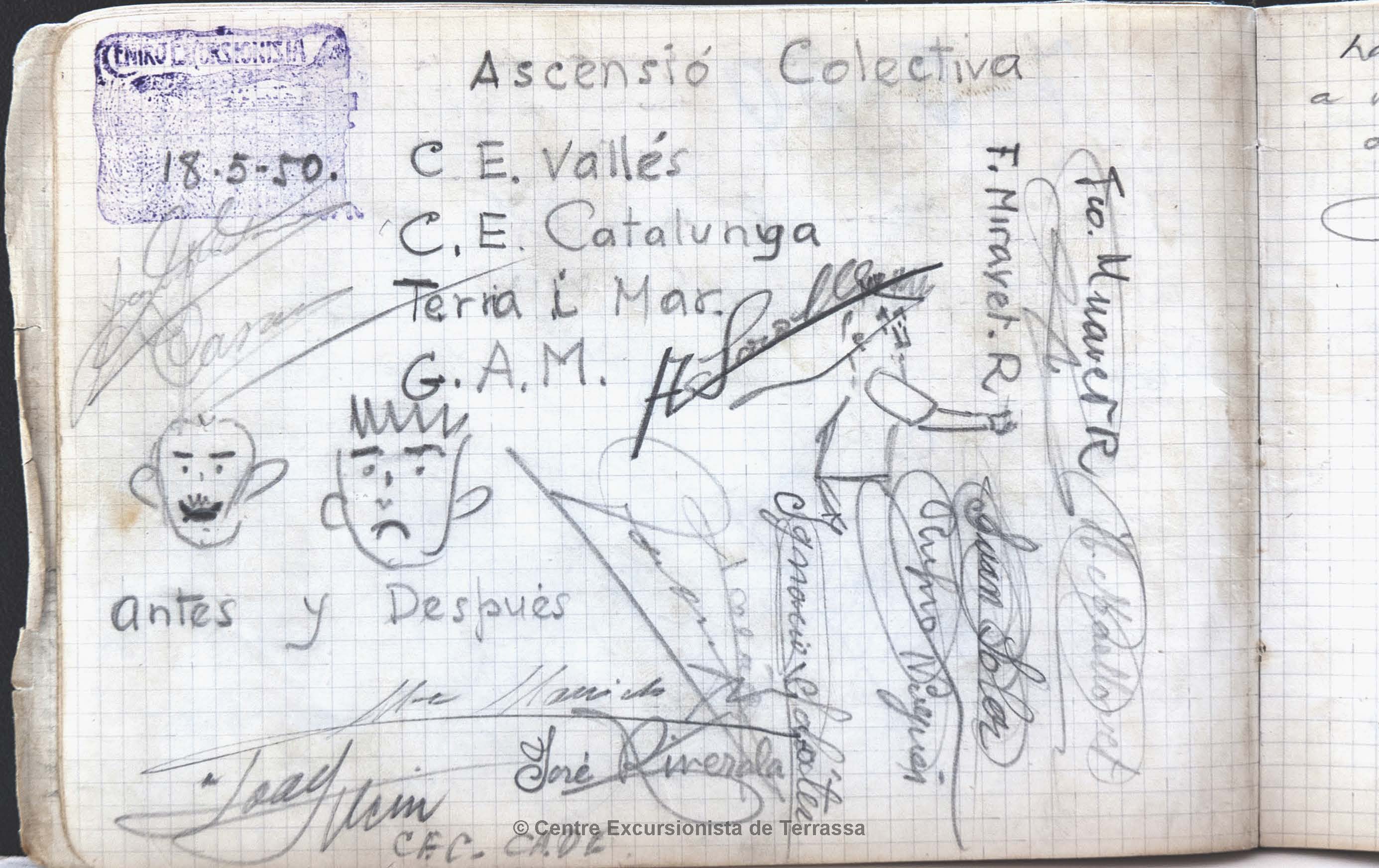 #36